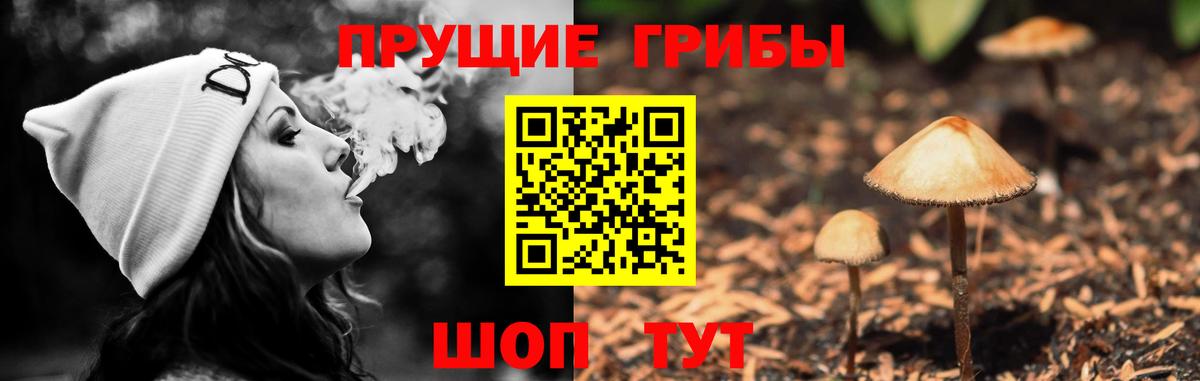 Псилоцибиновые грибы мицелий Нижнекамск